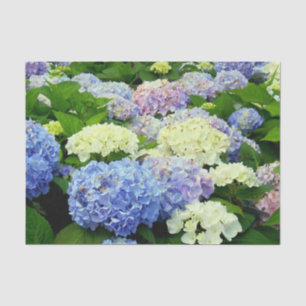 De Seda Hydrangea Mix-TISSUE WRAPPING PAPEL