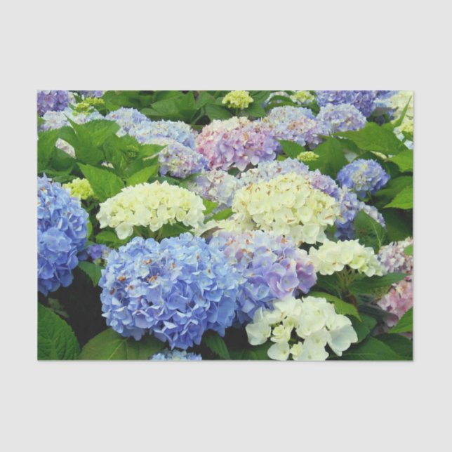 De Seda Hydrangea Mix-TISSUE WRAPPING PAPEL (Frente )