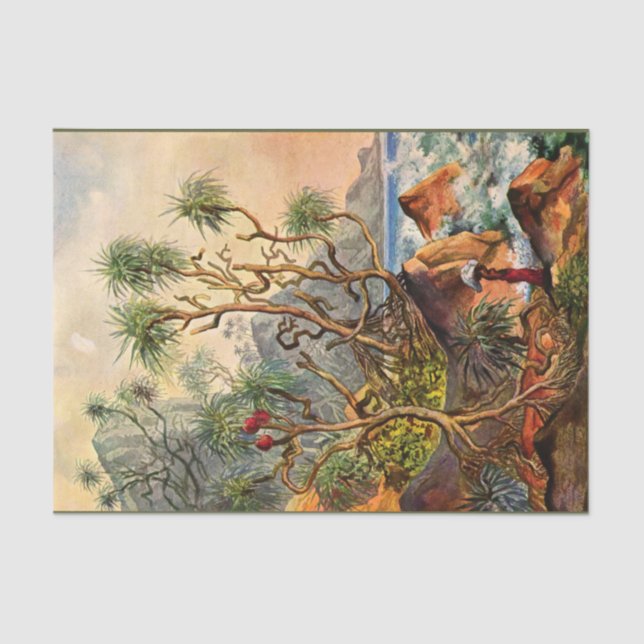 De Seda Island Ernst Haeckel Decoupage Papel Tecidual (Frente )