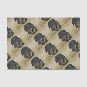 De Seda LeBron, o papel Dachshund Wrapping.