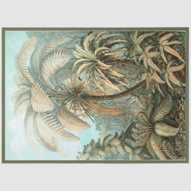 De Seda Nature Fern Ernst Haeckel Decoupage Papel Tecido (Frente )