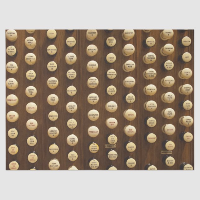 De Seda Órgãos brancos param papel (Frente )