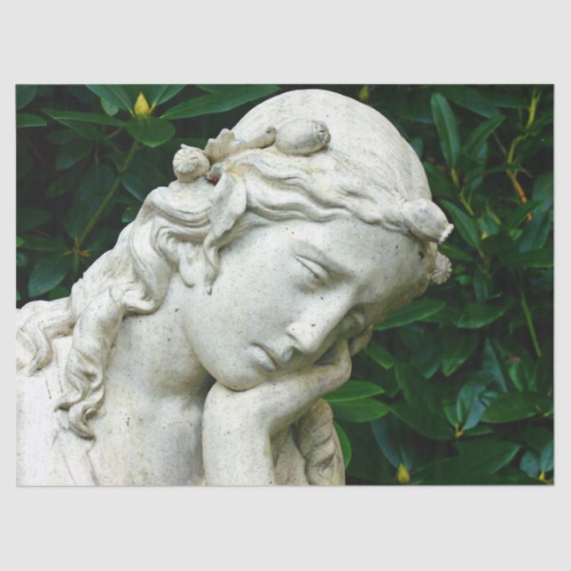 De Seda papel absorvente (Frente )