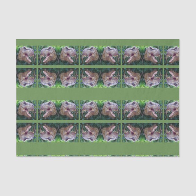 De Seda Papel absorvente Dinossauro (Frente )
