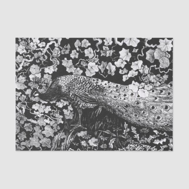 De Seda Papel branco e preto (Frente )