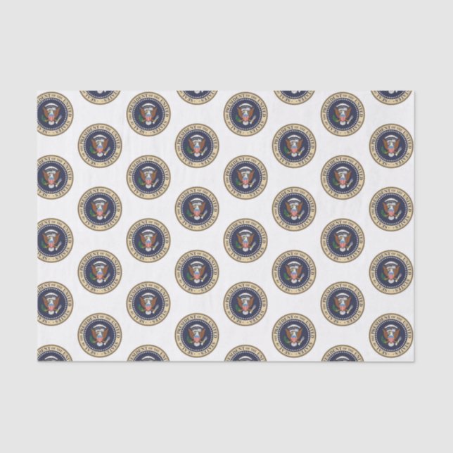 De Seda Papel Decortivo Sobre Tecidos Presidente (Frente )