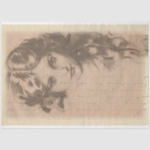 Papel Decouapge do Esboço