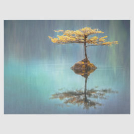 DE SEDA PAPEL DOS TECIDOS: "ÁRVORE NA ILHA"  