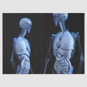 De Seda papel para tecidos da anatomia humana