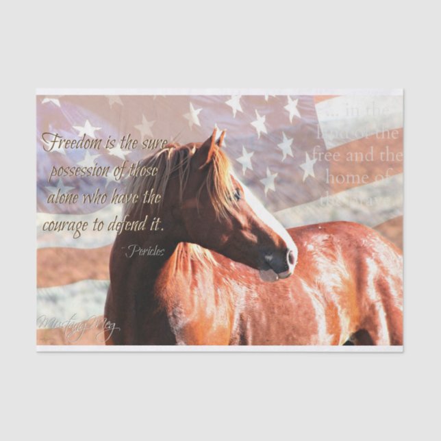 De Seda Papel selvagem e patriótico do presente do tecido (Frente )