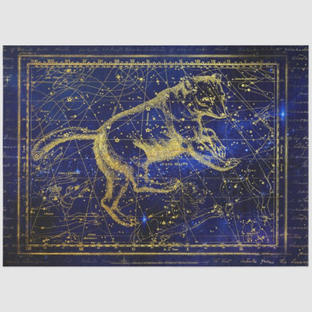 De Seda papel tecelular da constelação principal da ursa (Frente )