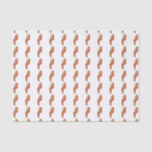 De Seda Papel Tecido Bacon