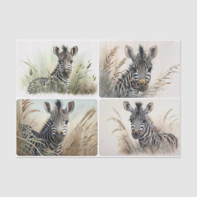 De Seda Papel Tecido Bebês-Zebra (Frente )