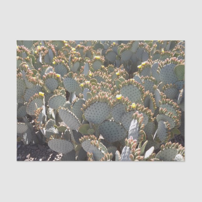 De Seda Papel Tecido Cactus (Frente )