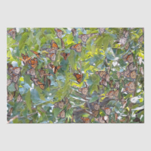 De Seda Papel Tecido da Borboleta Monarca