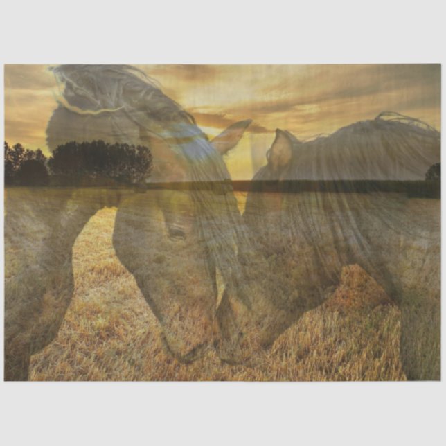 De Seda Papel Tecido dos Cavalos (Frente )