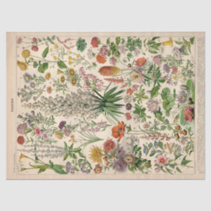 De Seda Papel Tecido Fleurs Franceses