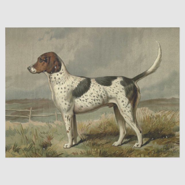 De Seda Papel Tecido Foxhound Vintage (Frente )