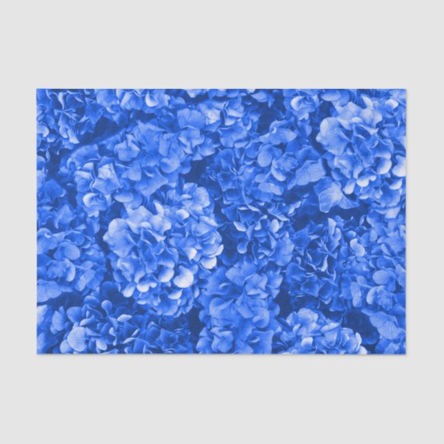 De Seda Papel Tecido Hydrangea (Frente )