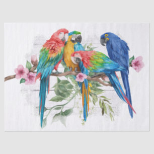 De Seda Papel Tecido Macaw, Eucalyptus Watercolor