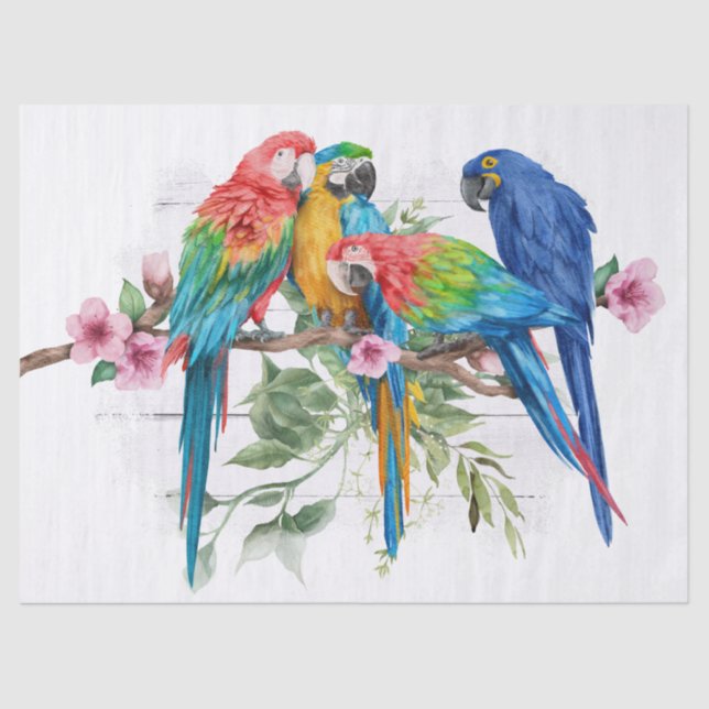 De Seda Papel Tecido Macaw, Eucalyptus Watercolor (Frente )