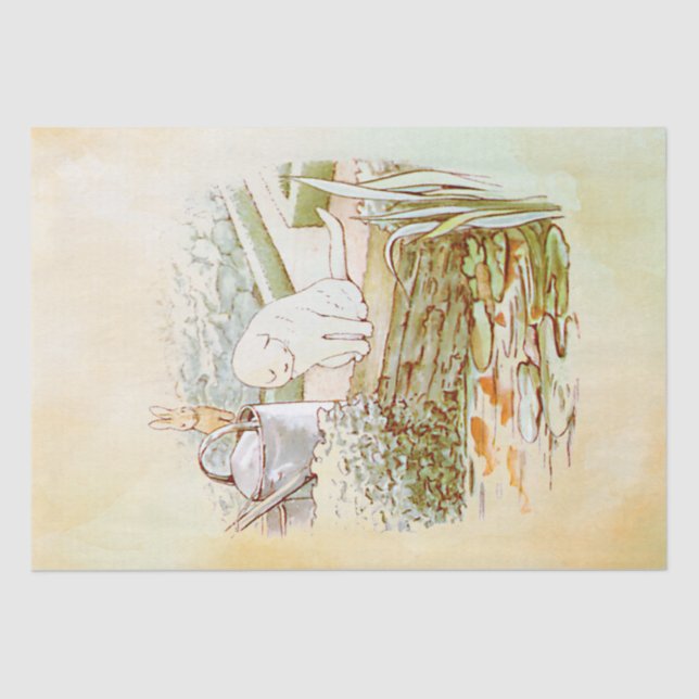 De Seda Papel Tecido Peter Rabbit (cat) (Frente )