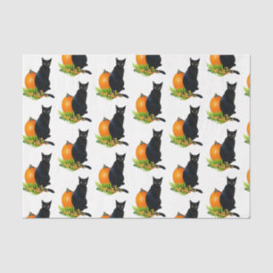 De Seda Papel Tecido Preto Pumpkin Fern
