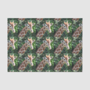 De Seda Papel Tecidual Giraffe