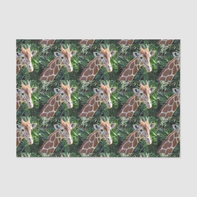 De Seda Papel Tecidual Giraffe (Frente )