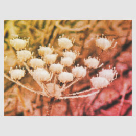 De Seda Papel Tecidual + Papel Decoupage - Primeiro Congel