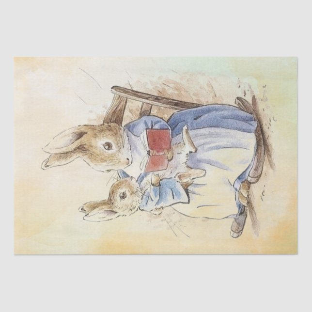 De Seda Papel Tecidual Peter Rabbit (Frente )