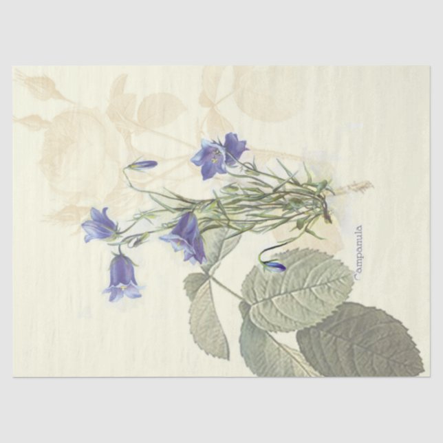 De Seda Papel Tecidual Vintage Campanula (Frente )