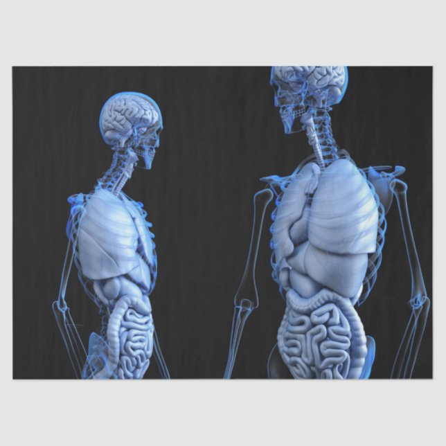 De Seda papel tecidular da anatomia humana (Frente )