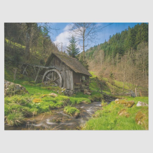 De Seda papel tecidular da serração (Frente )