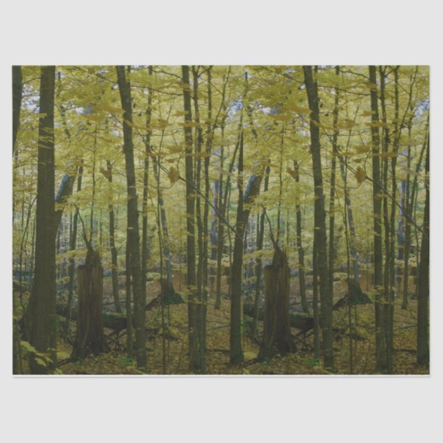 De Seda Papel tecidular das árvores verdes e negras (Frente )