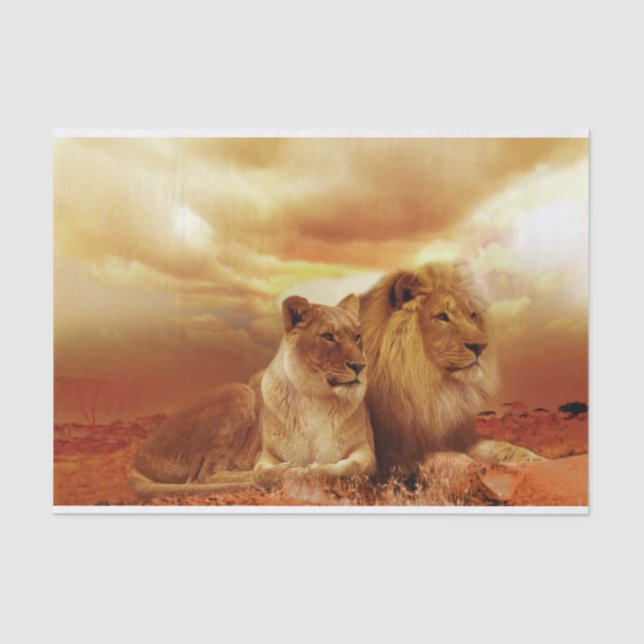 De Seda papel tecidular dos leões safari (Frente )