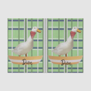 De Seda Papel tecidular Pato Xadrez Verde
