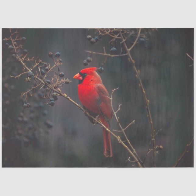 De Seda Papel Teclado Cardeal (Frente )