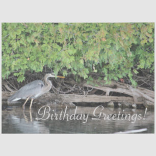 De Seda Papel Teclado Heron