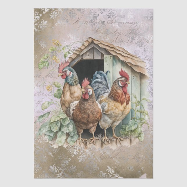 De Seda Papel Tissue Aquarela Galinhas Frango Fazenda Prim (Frente )