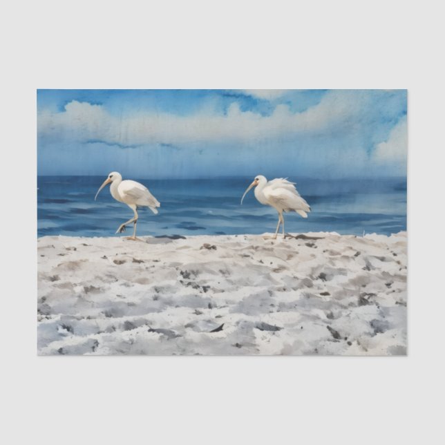 De Seda Papel Toalha Pássaros na Praia (Frente )