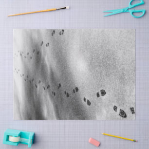De Seda Pegadas em papel tecidual na neve