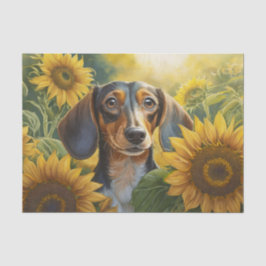 De Seda Sunflower Puppy Love, Papel Tecido Negro Dachshund