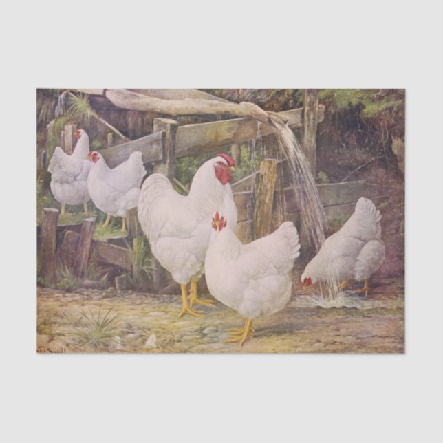 De Seda Vintage Chickens - Parte ou artesanato Papel Tecid (Frente )