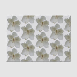 De Seda White Magnolias em papel tecidular