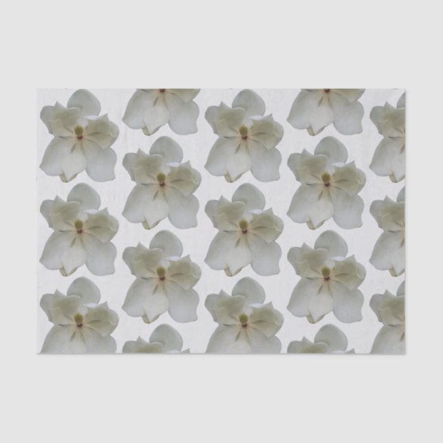 De Seda White Magnolias em papel tecidular (Frente )