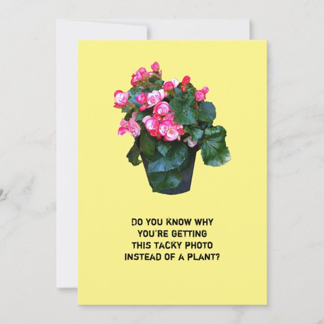 Dê um bom pote floral de flores, cartão de saudaçã (Frente)