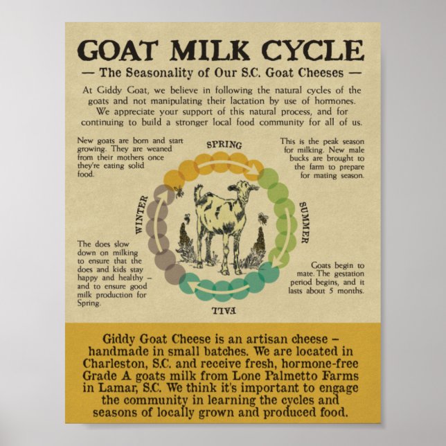 Dê um nome ao seu Impressão (Frente)