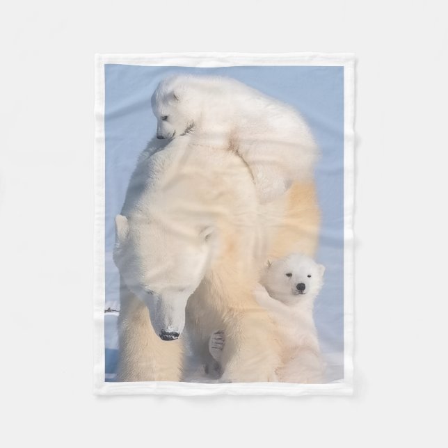 De Velo Cobertor Mãe Urso Polar e Filhotes (Frente)