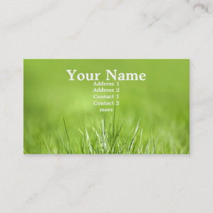 De Visita cartão verde